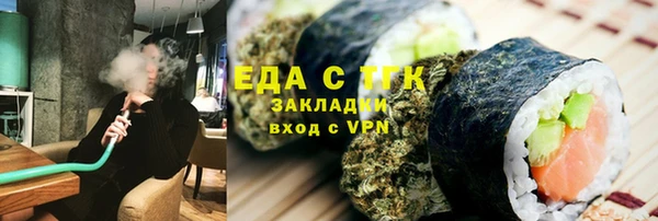 шишки Гусиноозёрск