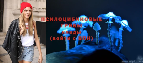 PSILOCYBIN Абаза