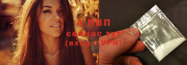 прущие крисы Абинск