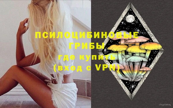 PSILOCYBIN Абаза