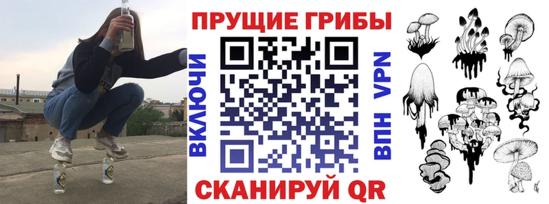 наркота  Агрыз  Псилоцибиновые грибы ЛСД 